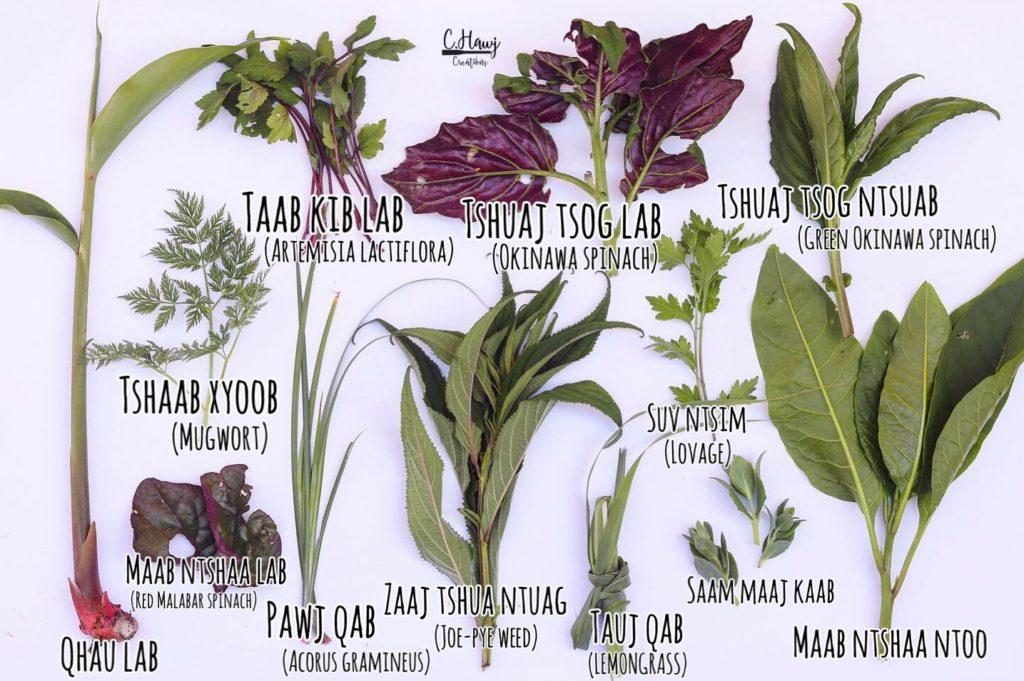 Boiled Chicken w/ Hmong Medicinal Herbs (Tshuaj Hmong hau ntsug Qab